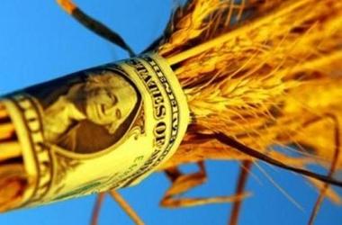 
Strategie Grains повысило прогноз экспорта европейской пшеницы в текущем и следующем сезоне