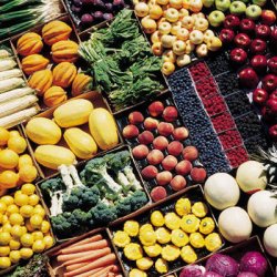 
Экспорт сельхозпродуктов из Иордании в Россию может превысить объем поставок в страны ЕС