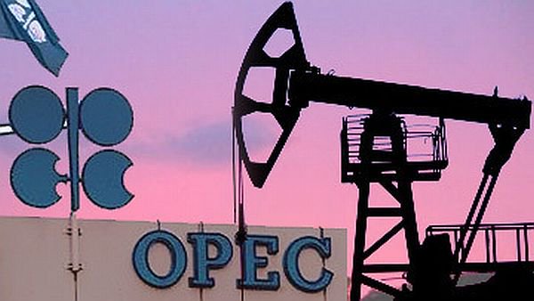 
ОПЕК назвала лидеров по сокращению добычи нефти