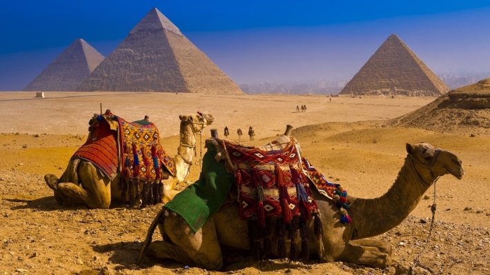 
В АТОР рассказали о сроках возвращения чартеров в Египет