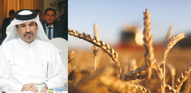 
Катар и Россия обсуждают совместный проект по хранению зерна в порту Хамад