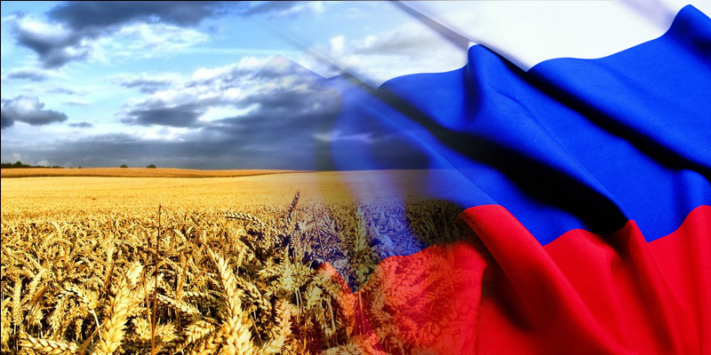 
Об итогах работы ФГБУ "Центр оценки качества зерна" за 2013 год